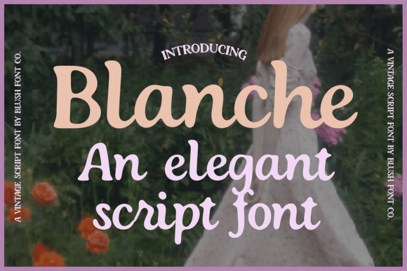 Elevate Your Designs with Blanche: The Vintage Elegant Script Font That Delivers Timeless Sophistication
